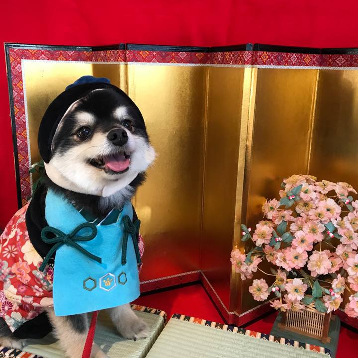 2859e300 d4f9 4295 b0f5 11470974de56 1551619497740