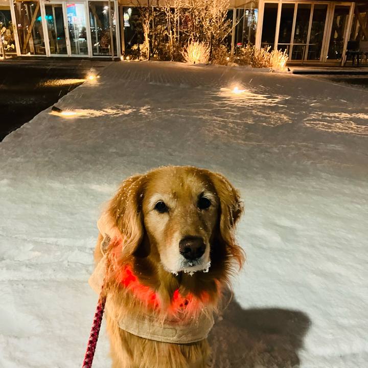 2859e600 8bb4 44b7 8478 1d4535a3aab6 1738991212886