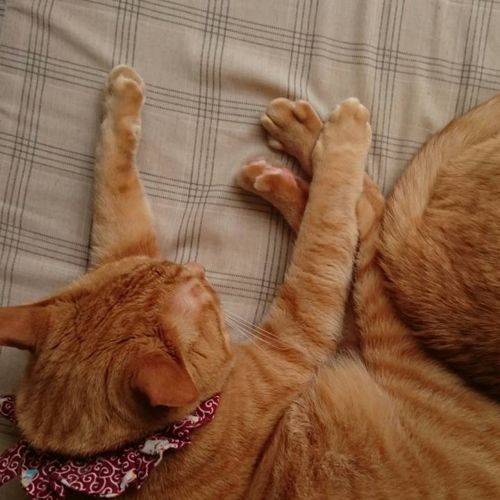 285a3ad5 d176 40e9 a2e6 5101be9783c4 1527315856713