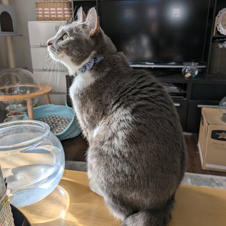 285a3ada 365f 4d34 8a36 95704d3068d7 1736761254826