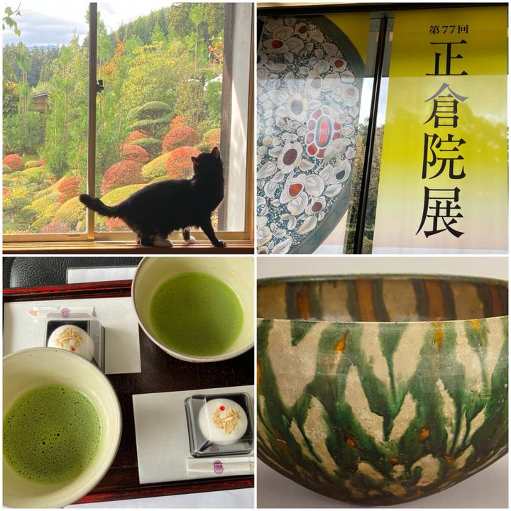 285a5177 f9d5 4305 8beb 387ddf787d57 1762251458736