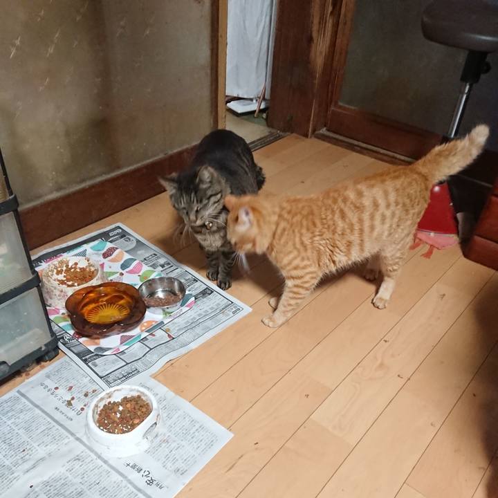 285a67ea 2a92 4990 b74c 0e4d1b360183 1651613172189