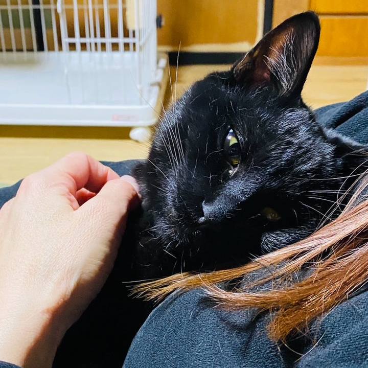 285a87b8 0cd6 4eb5 ad9f e166e98ffc57 1771728355867