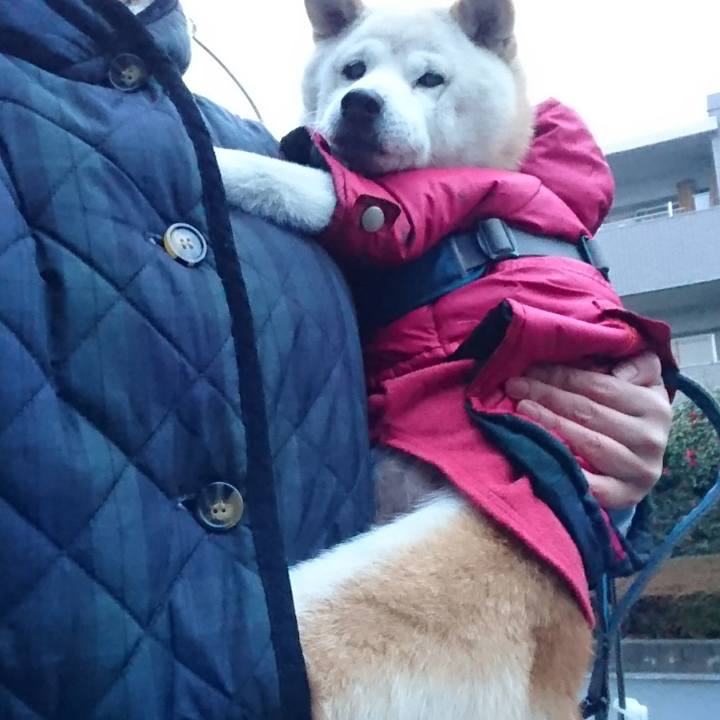 285a98db 029a 4d40 9b36 c1e21c7b6f9e 1574726003677