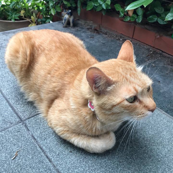 285ab05e dc27 45ba a481 5537b4b3f44e 1527670521287