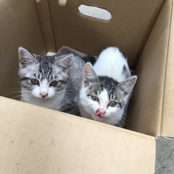 285af307 dc50 4fca 95c1 f3276403c110 1530713846668