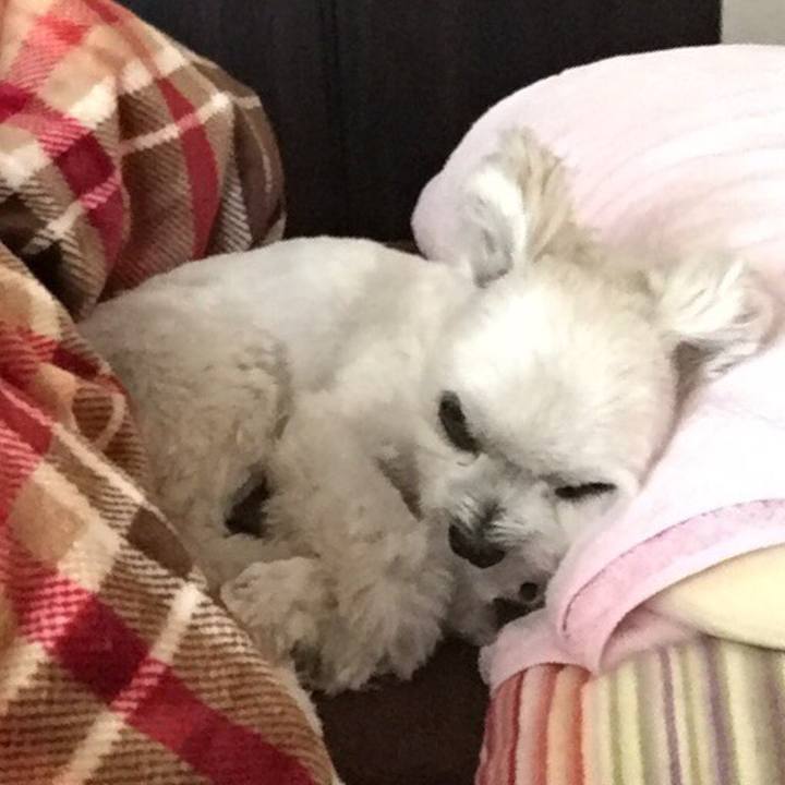 285afc9f b9ac 4374 b2ef 6de0d3e6e032 1513578676409