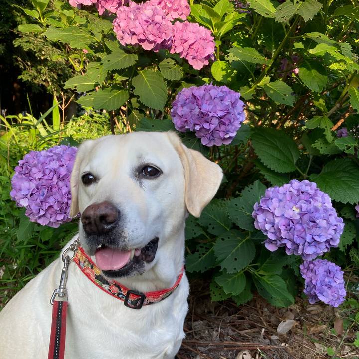 285b4396 4eaa 4240 9a98 6ed46e58076b 1719447080638