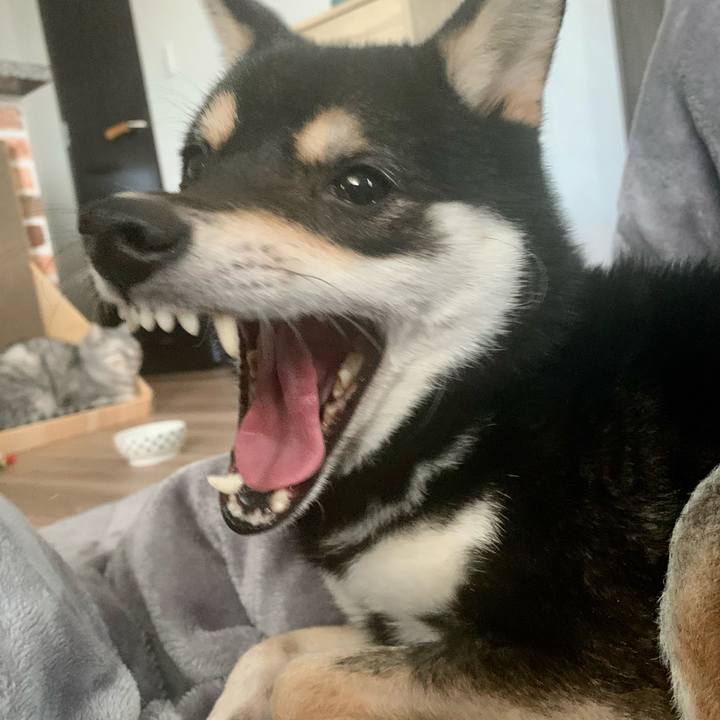 285b9bff af18 4518 9a7d df47192c74c4 1672184196499