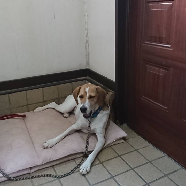 285ba90d 84fb 4e8b aae5 ec9d0ef6dce2 1564557506113