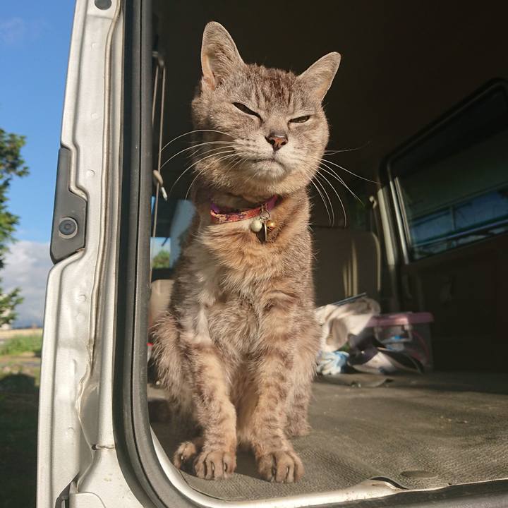 285bed03 8567 47e8 b1b5 9cac83dd3791 1592340276418