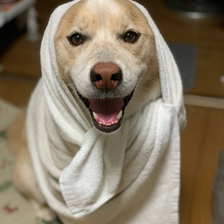 285bfb75 74bc 4798 b511 6b32cedd5647 1593604510835