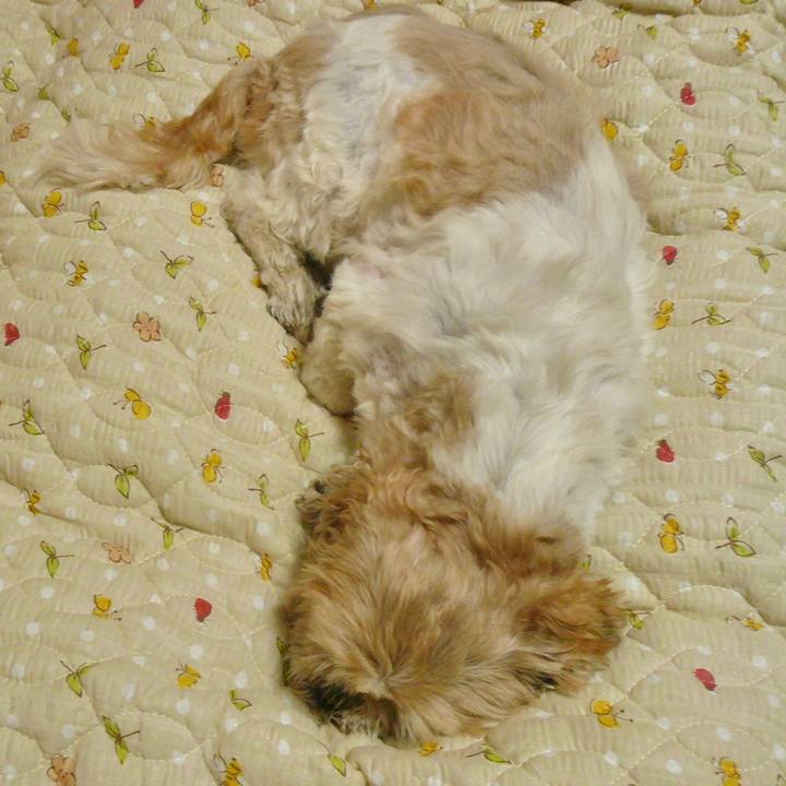 285c12fd 5323 4998 9543 7f8229cb32de 1635245611216