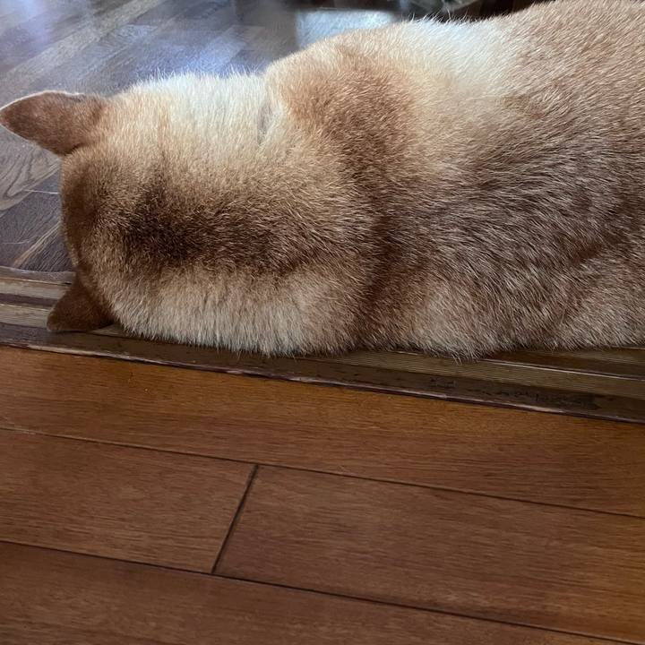 285c6dad 0370 4d47 a7c5 7436a7fae285 1689837574390