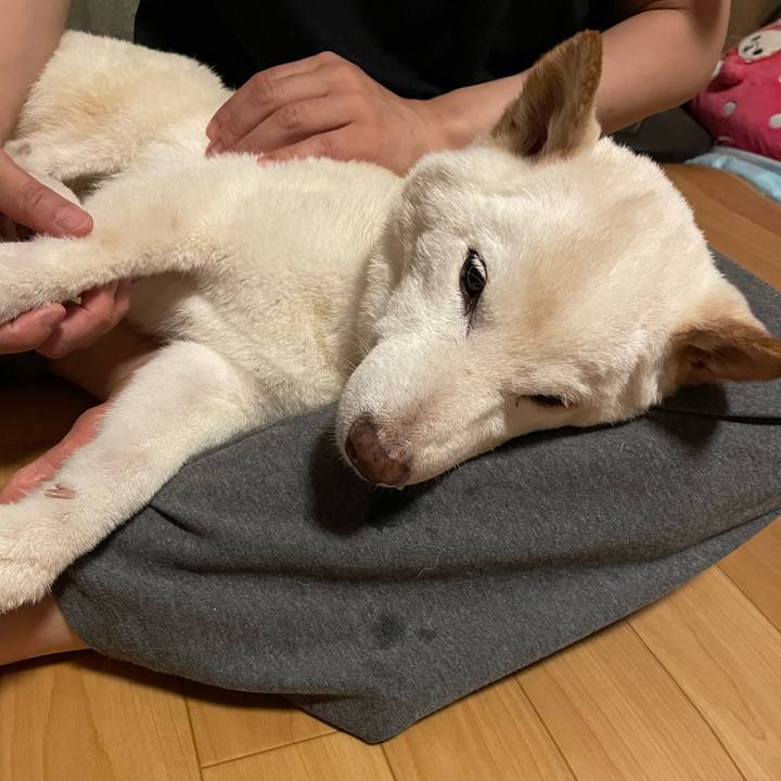 285c99b9 44c4 4235 8e66 95c2c3d2507a 1661791883376