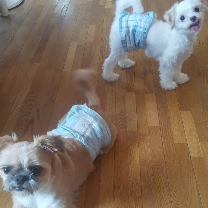 285c9f5e 2480 44c5 90df 463380ff91bb 1720837370542