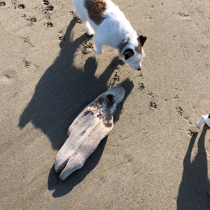 285ca5be 3d47 4ab9 9ccd 7c2d9081e101 1522892783971