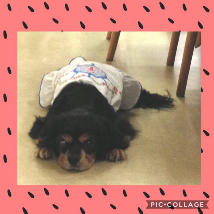 285d08ab c514 46f1 9024 f9c7945cdb50 1596458629313