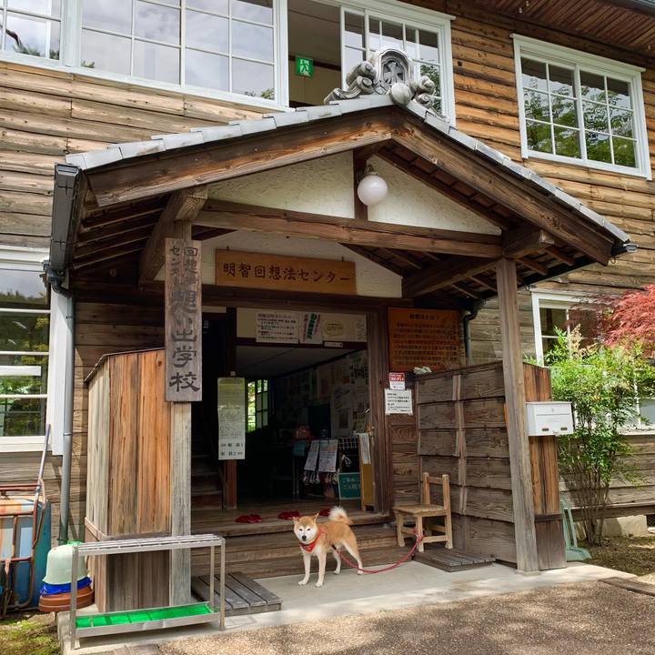 285d1db3 4d9d 477a a8cb 3006a865e49c 1624179276757