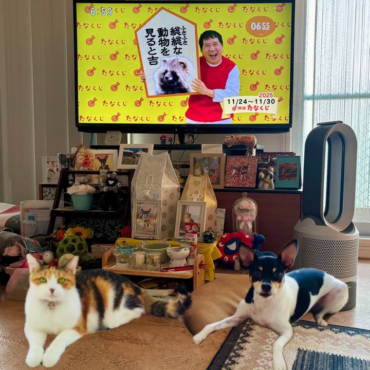 285d4669 208b 45c9 a82f 7571d3b273ac 1763938743969