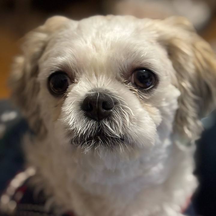 285d5571 3490 457e 8fd2 b0629406131b 1762897820510