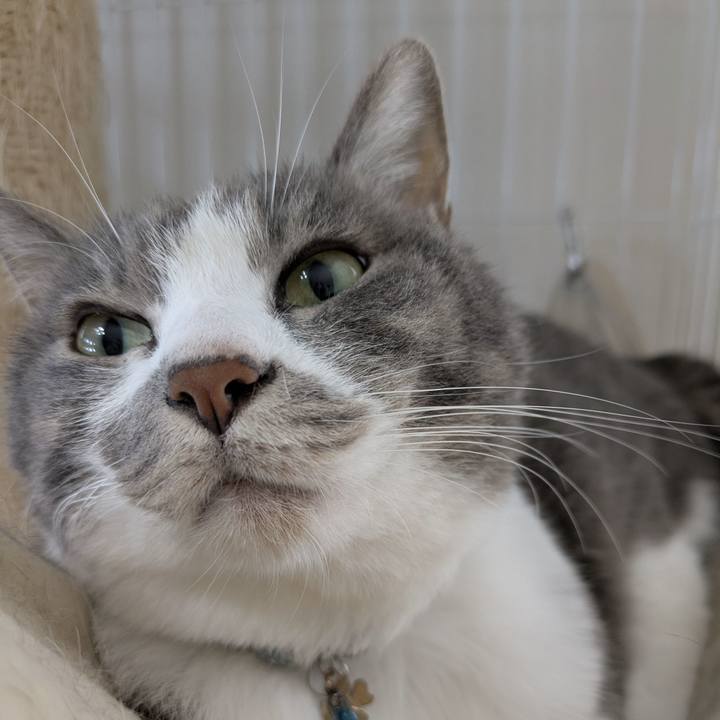 285d57be 4d0f 4e71 9a17 73c0023c0fa1 1754280578661