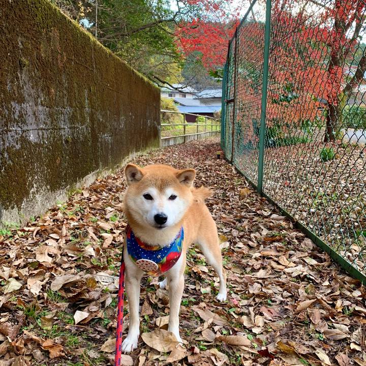 285d824c 3b92 48a5 91af 2f78f083678f 1637835599468