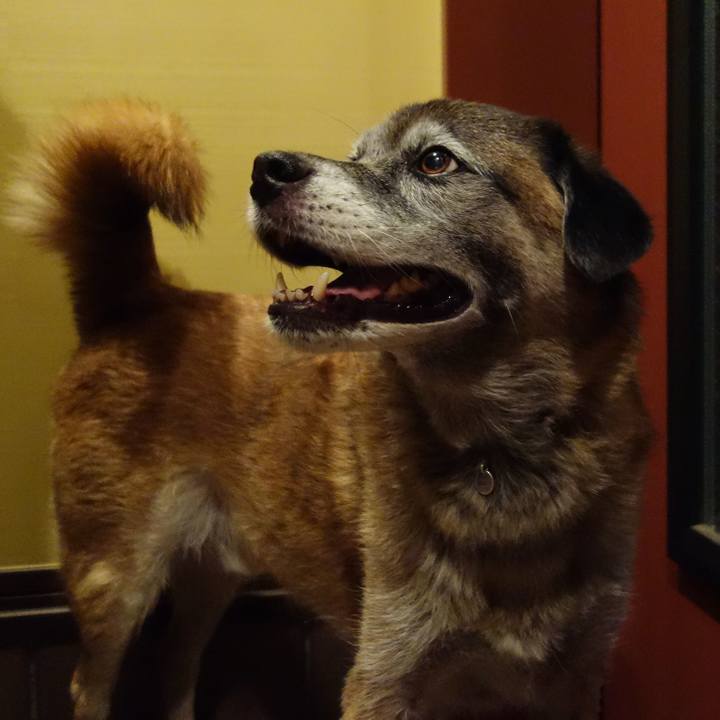 285da51d e73c 4d8d a5c4 9502cd99ac1a 1535281185694