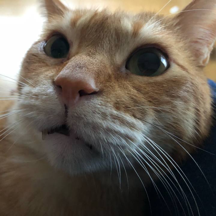 285dc564 3f33 4928 9a9c 044a7efd9c9a 1650791782692