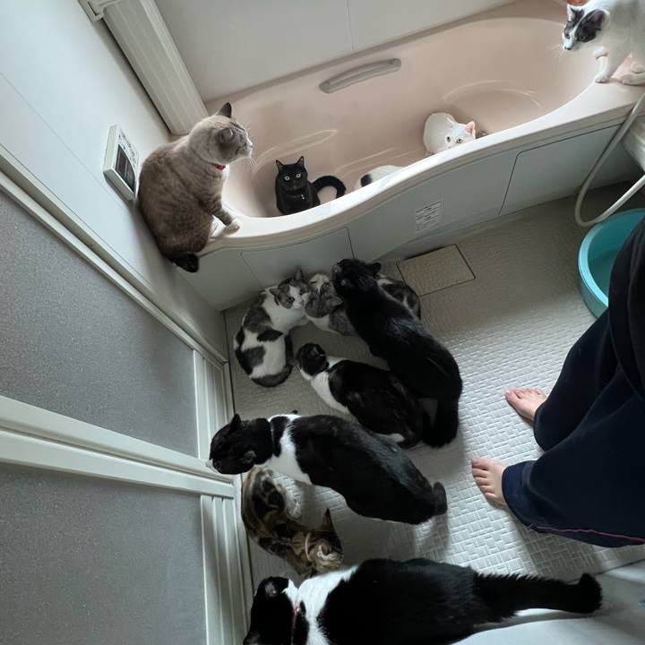 285dc900 be08 48e4 9a5e 77c81c7291b1 1696755151691