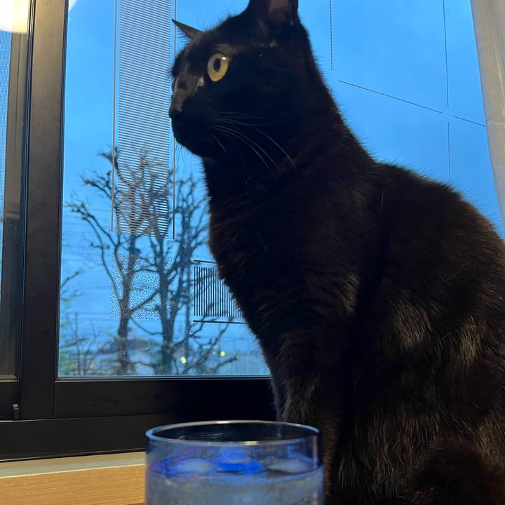 285dd83d 7563 4542 98fe e9abe31fbe6f 1745832669059