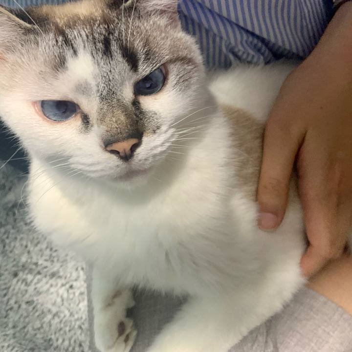 285e3fcb 9895 486a 9de5 234fd7bb1cff 1650882235998