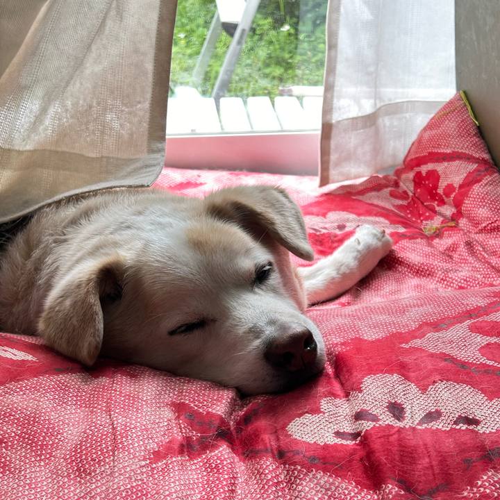 285e5028 9dc7 47a5 b28c 94a28486e1a1 1716085302008