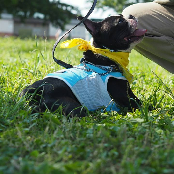 285e7210 bb50 4dfe 9f77 38f9f83414c8 1527926585430