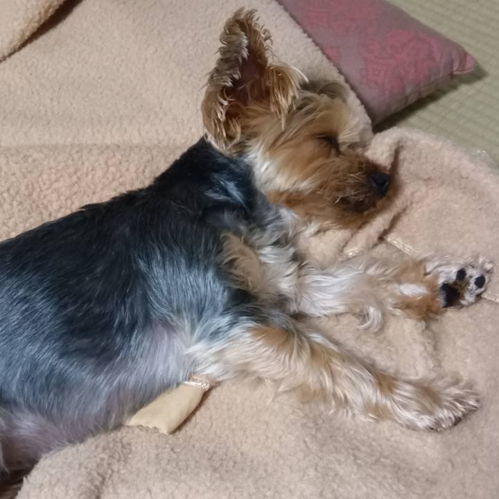 285e90b0 0e50 46c0 8427 19169806c99f 1714737396754