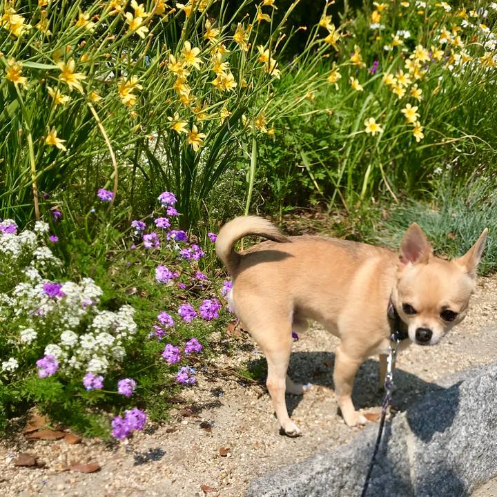 285eb64f 5995 41c6 9e45 80a30487320e 1524876863534