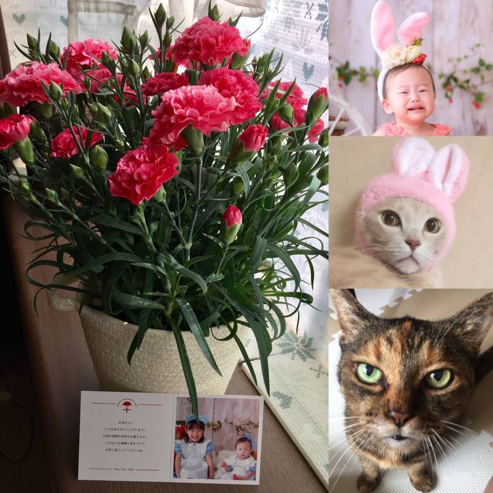 285ed6a9 3a9b 4b02 9c94 45b79aee620b 1620270040713