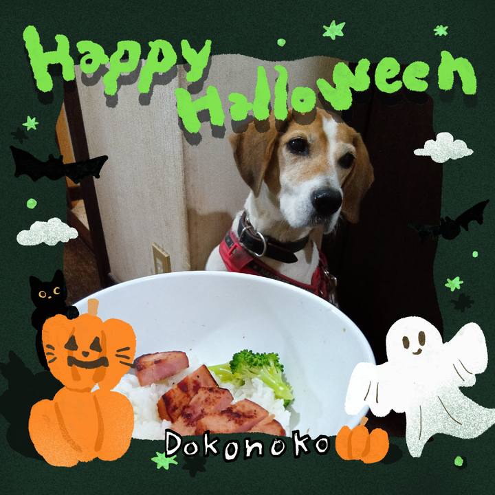 285ef1fb 3bf3 41c7 92e3 cee7132e7e0f 1730370085387