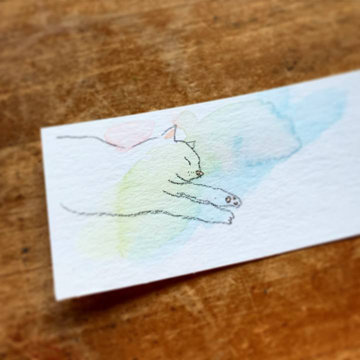 285f2064 c8df 4790 ac46 e940c7499d16 1605596156837