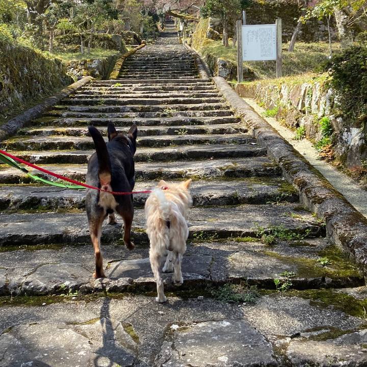 285f452e 1e51 4b52 997d cfe841bc643f 1649234913196