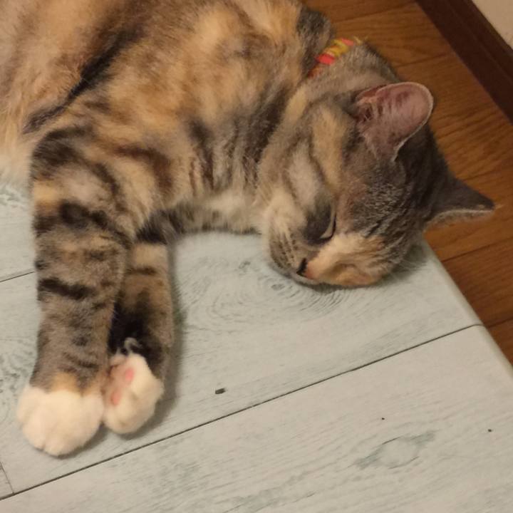 285f73bb 06a0 4732 9182 6b27396ea351 1564505803063