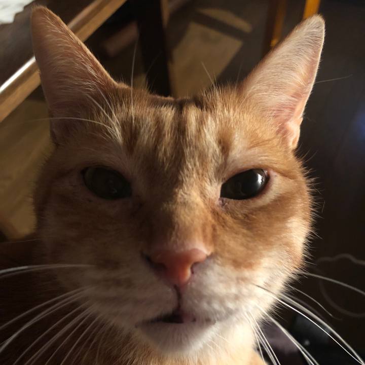 285fa19e 1917 4f30 87ee 3296bc2911a6 1668252639364