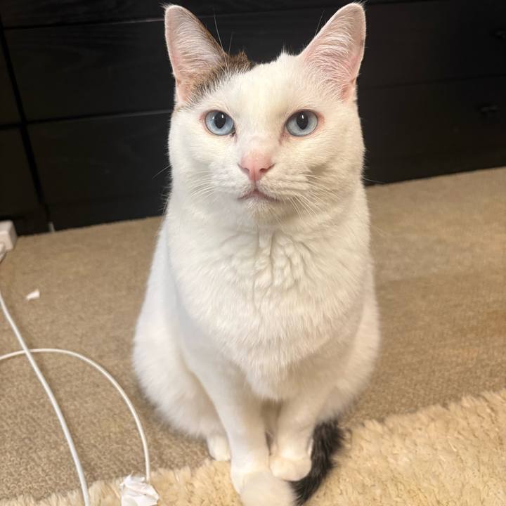 285fec9d a76e 4013 a67e 57bcefeece04 1766704466987