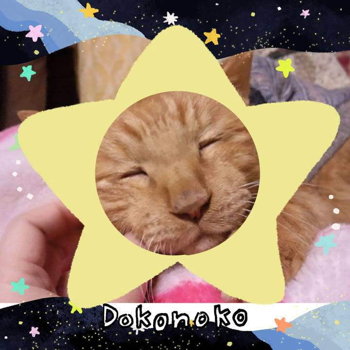 28602da4 3f02 4fab b3b5 1e356183ffee 1720845725310