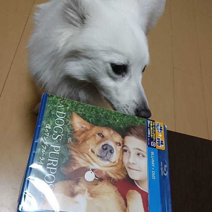 286078ab dfa6 4a28 95f5 4d5f7a1dab58 1520509449387