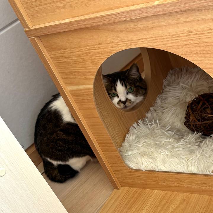 2860acf1 ee0a 4196 bb13 4067a21195c1 1764383490929