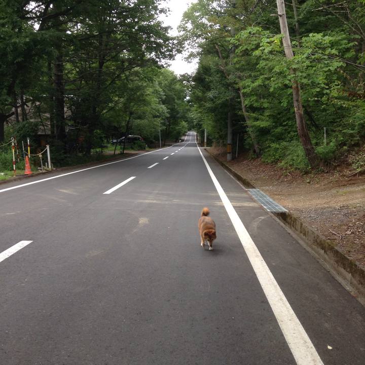 2860d270 f802 474b ab8d a8cab6674c38 1533772681333