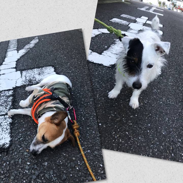 28611dbe c081 416f bdf4 27a52ddf6547 1524644897336