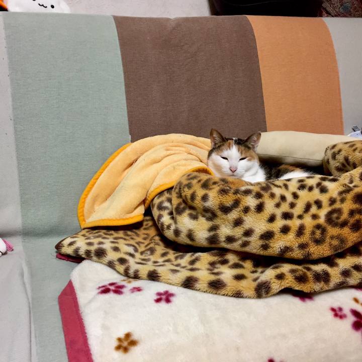 28612fbe 71ec 44b2 8236 a98260b1a22a 1521986164298