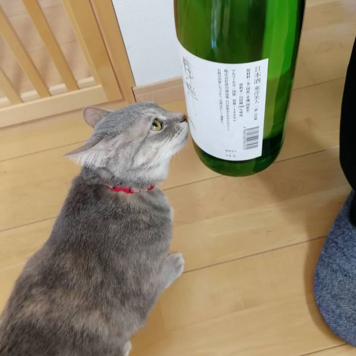 286141c1 8ad5 433a 8a77 1d612e2a3757 1527210586820